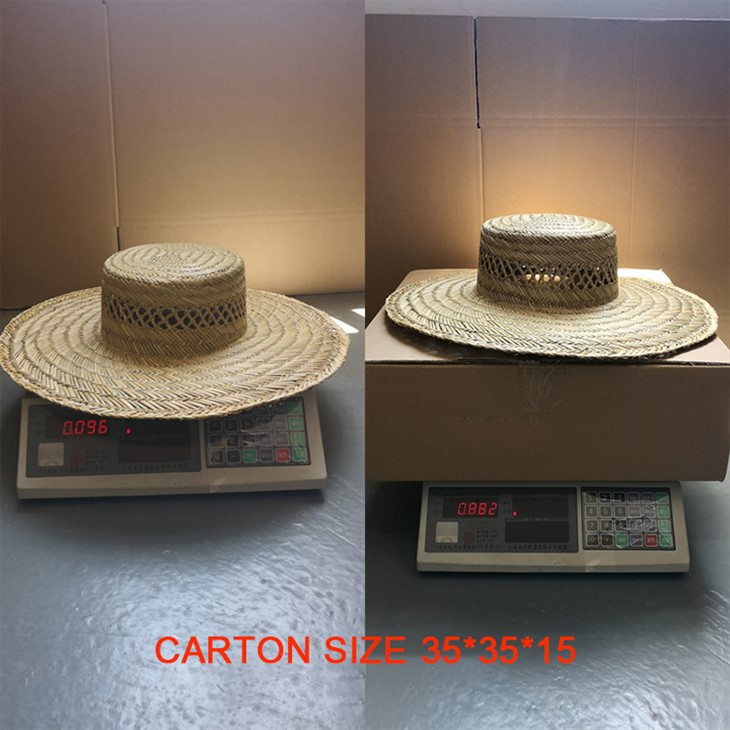 Surfer Hat Straw Free Sample